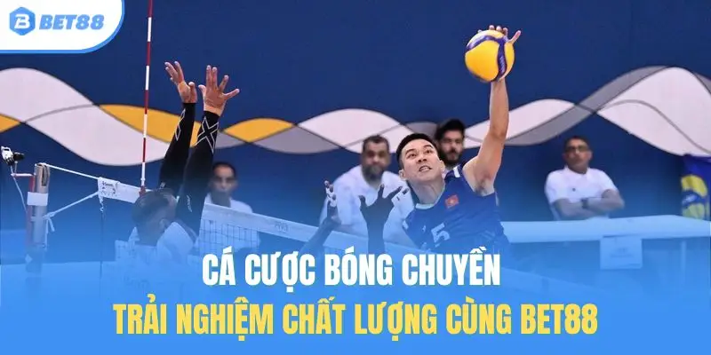 cá cược bóng chuyền bet88