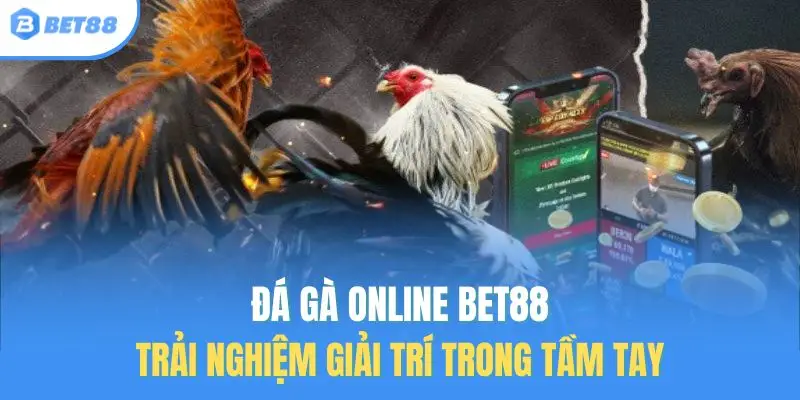 đá gà online bet88