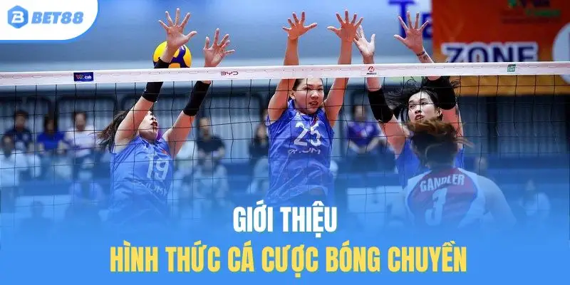 Giới thiệu hình thức cá cược bóng chuyền