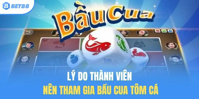 Lý do thành viên nên tham gia Bầu Cua Tôm Cá