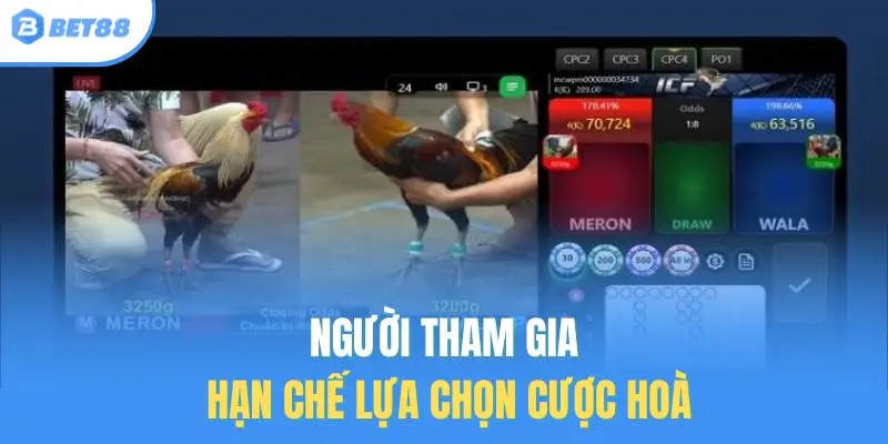 Người tham gia hạn chế lựa chọn cược hoà