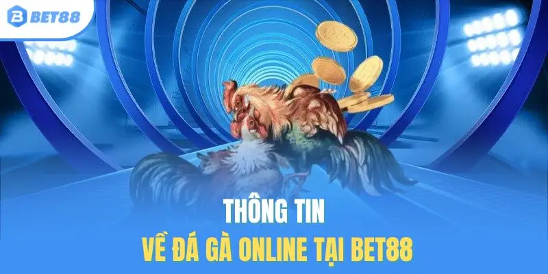 Thông tin về đá gà online tại BET88