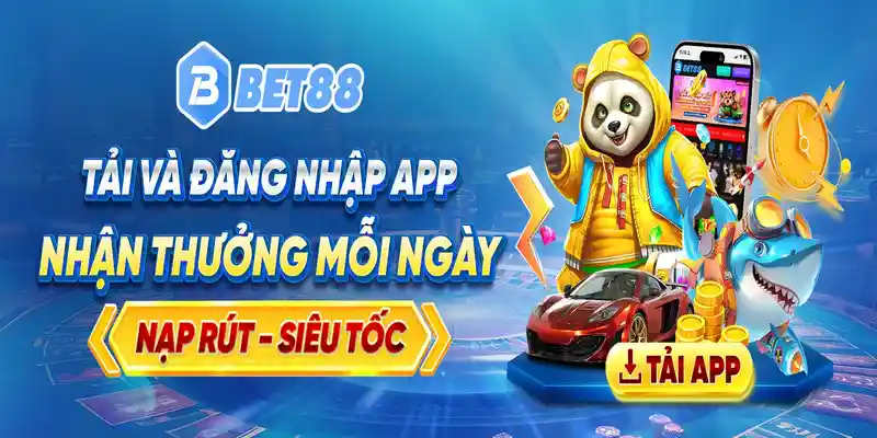 Tổng quan về nền tảng