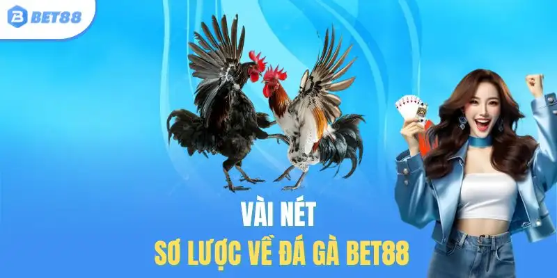 Vài nét sơ lược về đá gà Bet88